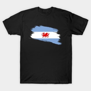 Wales Argentina flag, Welsh Patagonia T-Shirt